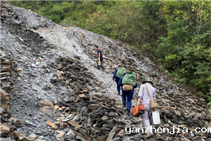 241637723723150474.png 图片17_副本_副本.png