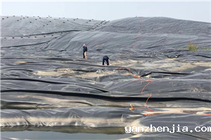 241637723735466262.png 图片18_副本_副本.png