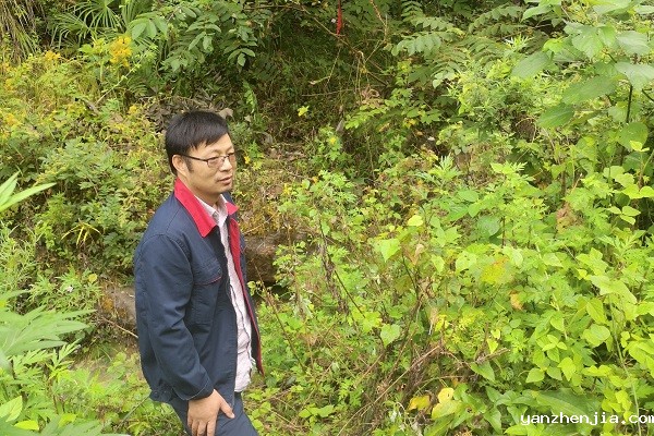 251637828729189083.jpeg 张岳礼_副本.jpg