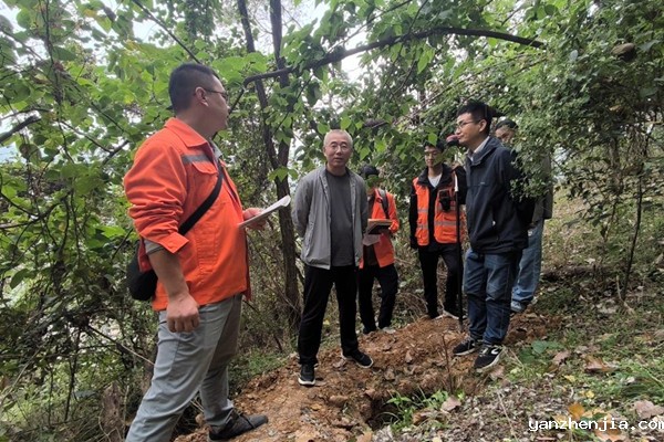 141728867287431462.jpeg 2.jpg